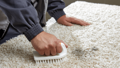 Professional Rug Cleaning Lovely Banks